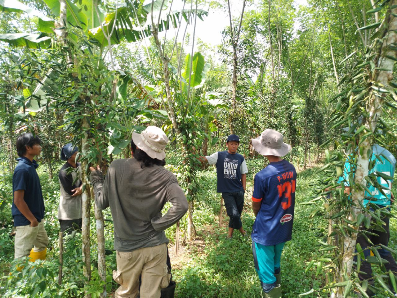 Gallery 27 of 35